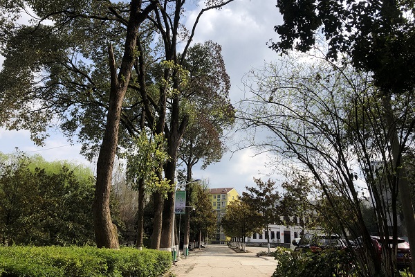 成都龙泉航空职业技术学校(龙泉航空职业技术学校地址)