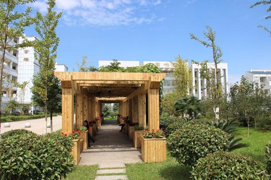 四川成都技师学院怎么样(成都市技师学院是大专还是中专)