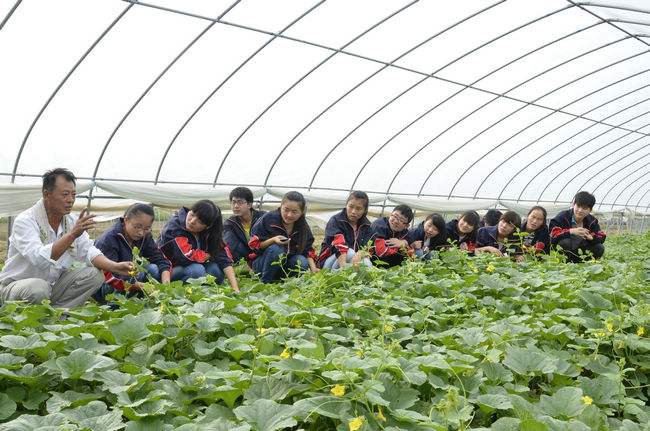 成都中职学校有哪些学校民办(成都公办中专职业学校排行榜)