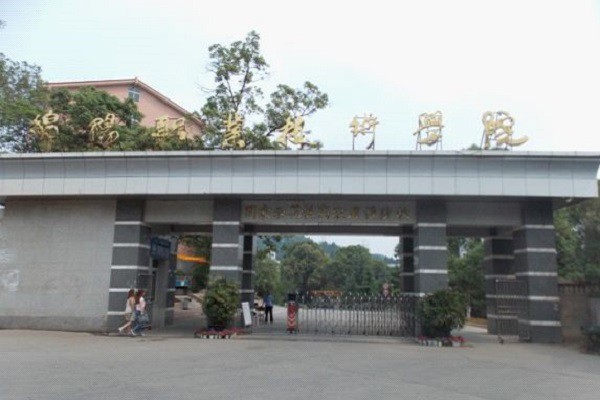 成都华阳职业学校公办还是民办(成都新华技工学校是公办还是民办)