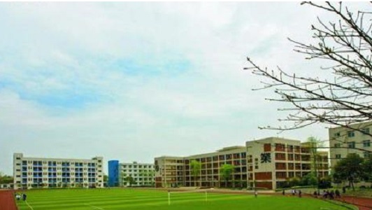 成都公办职业学校烹饪专业(四川旅游学院烹饪学院分数线)