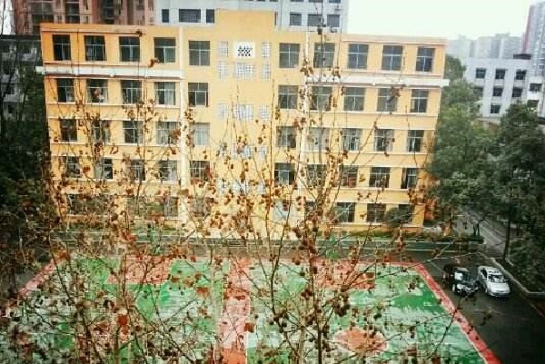 成都职高学校排名榜公立(成都公办职高学校哪所学校好)