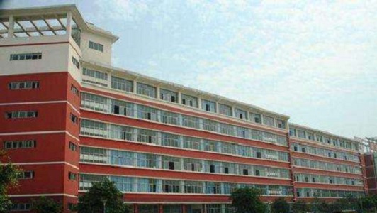 技校成都这边有哪些学校(成都民办职业学院有哪些)