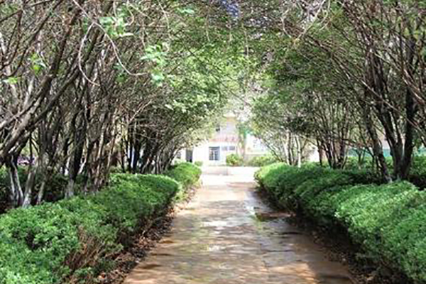 成都铁路学校(成都华大卫校录取分数线)