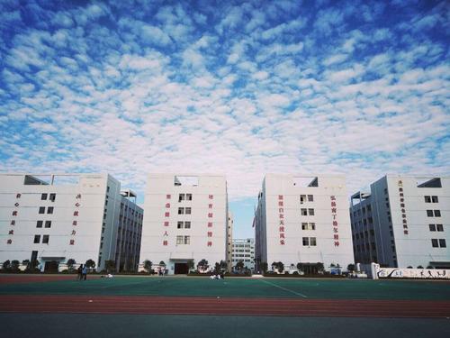 成都公办职业学校烹饪专业(四川旅游学院烹饪学院分数线)