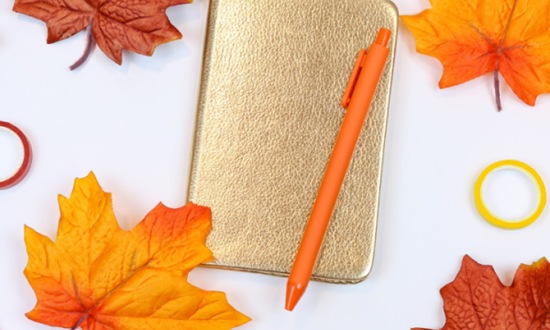 2024年春季攀枝花读职校选择中药制药专业前景怎么样